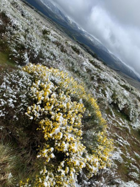 la cabaña de gredos